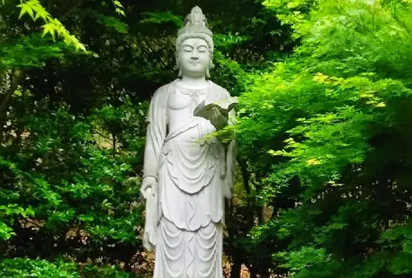 想い出草観音