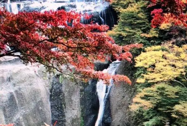 袋田の滝の写真・動画_image_238589