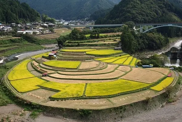 四季折々の風景