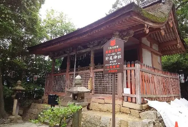 慈愛の神さま