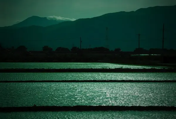 田園と伊吹山