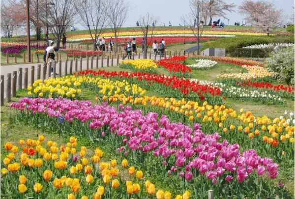 県営馬見丘陵公園　奈良