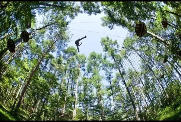 フォレストアドベンチャー　MT.FUJI