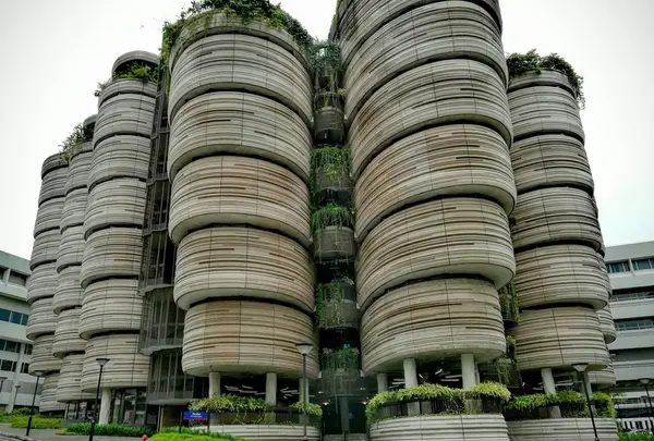 南洋理工大学（THE HIVE）