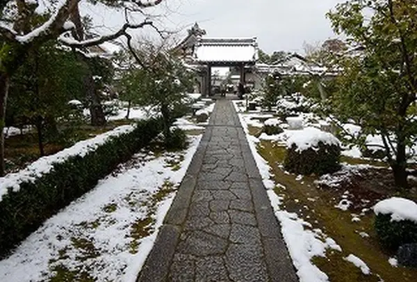 妙心寺　天球院