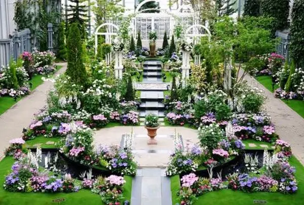 奇跡の星の植物館