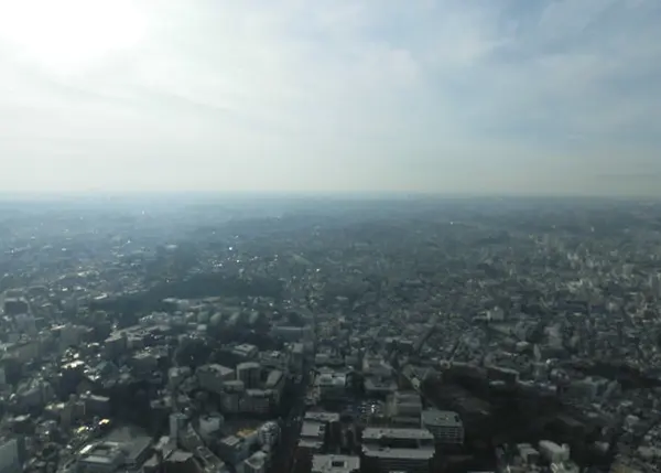 スカイガーデン