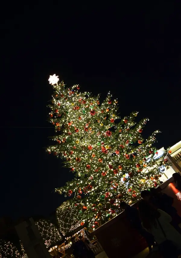 クリスマスツリー