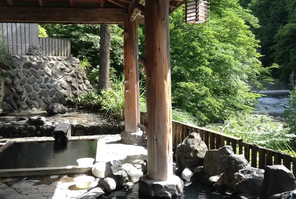 秋の宮温泉郷の写真・動画_image_125703