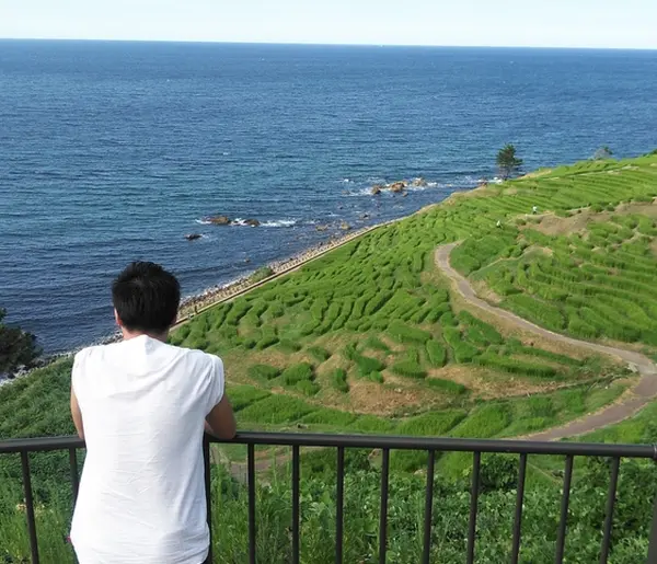 展望台から見る棚田