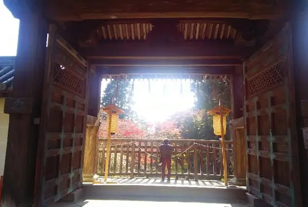 毘沙門堂の写真・動画_image_101012