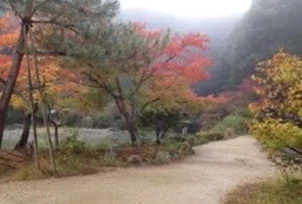 目の前には浄土庭園が