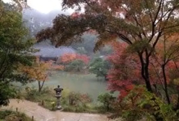 三重塔から九体阿弥陀堂を見る