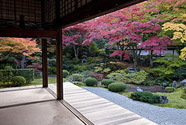 泉涌寺紅葉　　　　　　　　　　見頃　12月初旬ごろまで