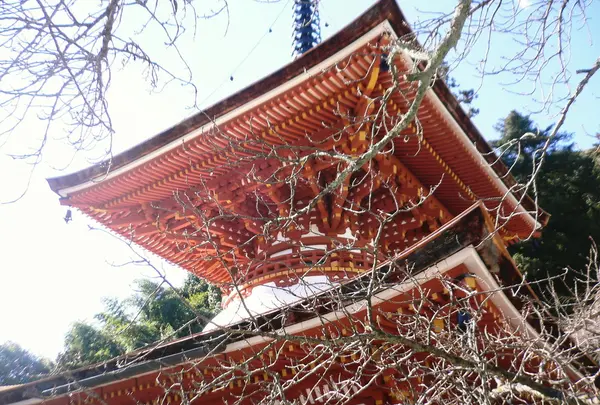 多宝塔