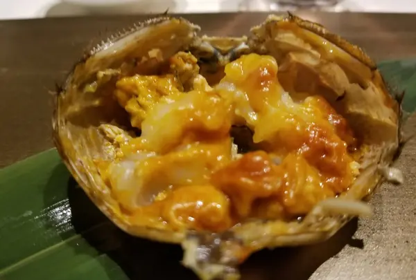 ランチコース