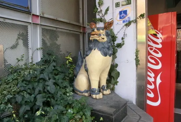 平尾の写真・動画_image_19341