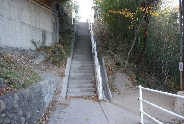 新秩父橋の写真・動画_image_19364