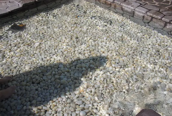 独歩の湯の写真・動画_image_20536