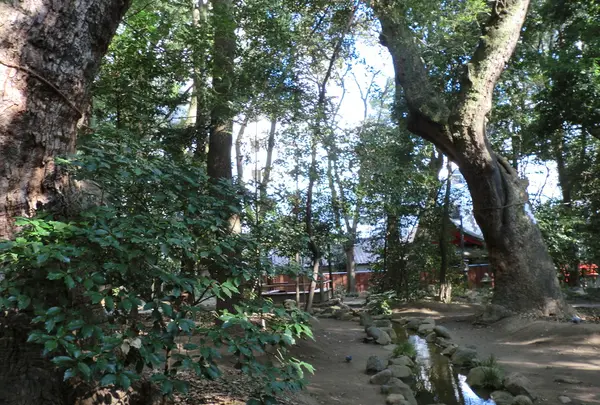 生田神社の写真・動画_image_20724