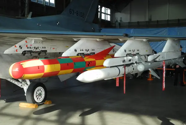 岐阜基地航空祭の写真・動画_image_21631