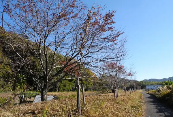 雰囲気が変わってきた