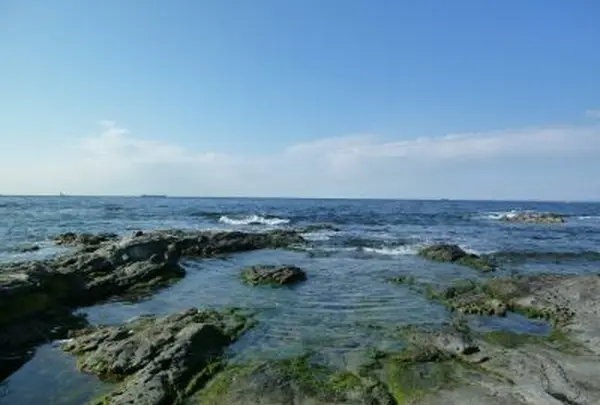 洲埼灯台の写真・動画_image_21970
