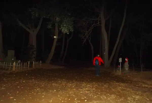 道了堂跡の写真・動画_image_22876