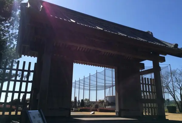 石橋記念公園の写真・動画_image_22942