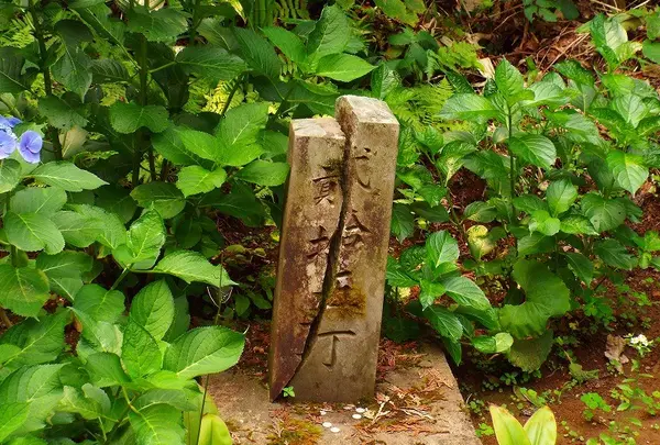 丁塚石