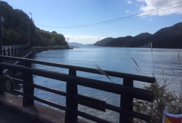 海岸線からのきらきらの海