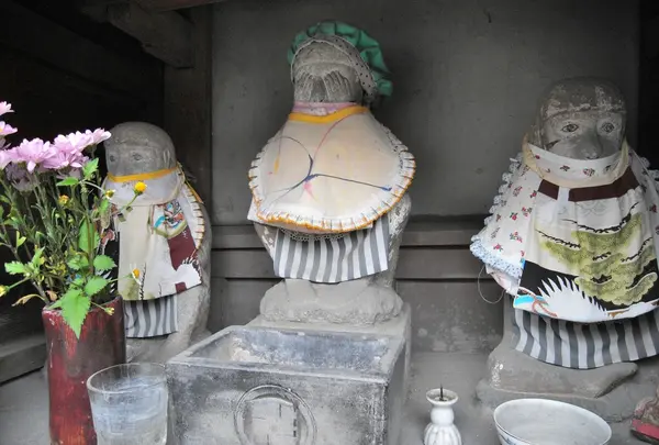 瑞應寺の写真・動画_image_24513