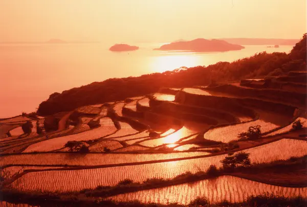 水を張った棚田に映える夕日もキレイです。
