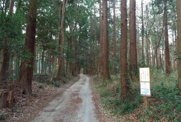林道