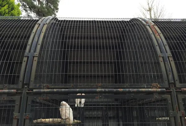 ☆大宮公園小動物園