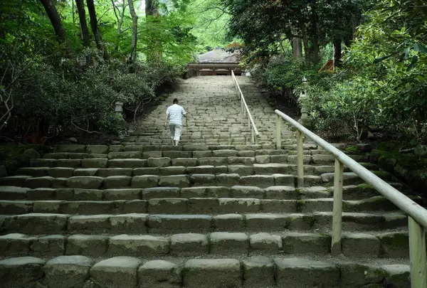 もれなく石段がついてます