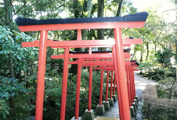 ラッキーを呼ぶ稲荷鳥居