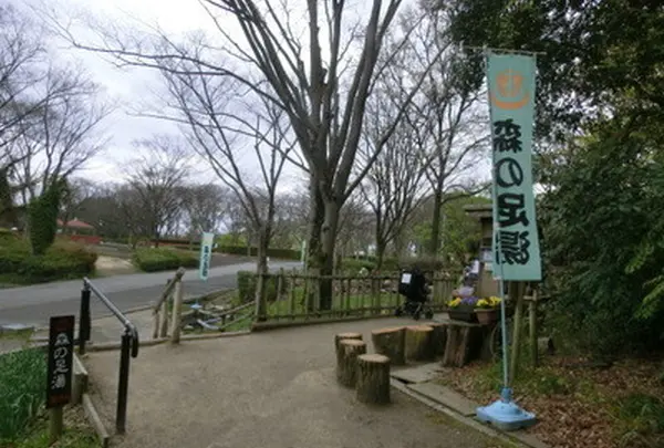 森の足湯