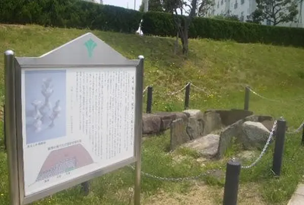 信太の森の鏡池史跡公園の写真・動画_image_28599