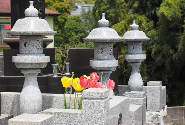 墓石とチューリップ