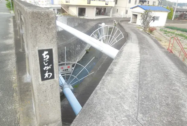 納の写真・動画_image_29053