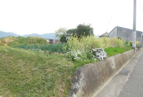 納の写真・動画_image_29055