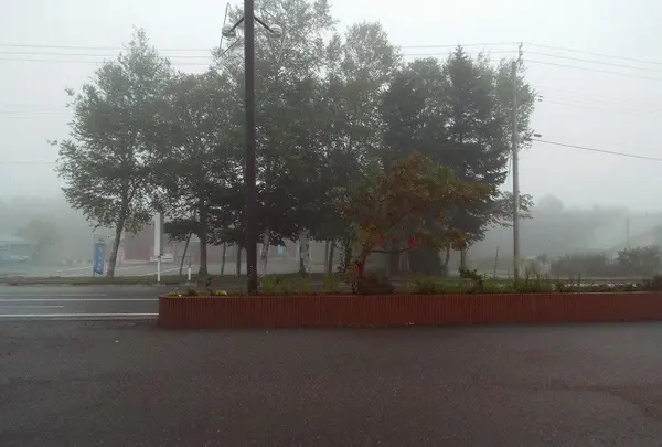 道の駅 しんごう「間木ノ平グリーンパーク」の写真・動画_image_29268