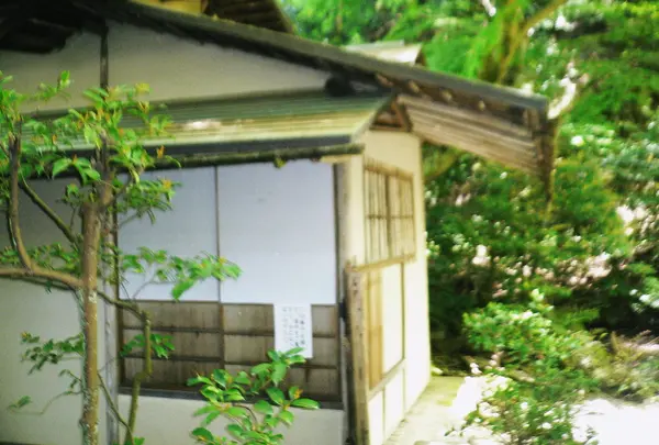 来迎院の写真・動画_image_29272