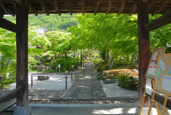 庭が綺麗