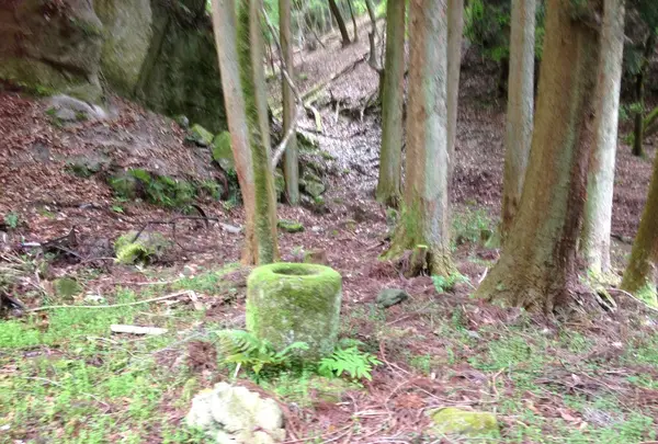 石・苔