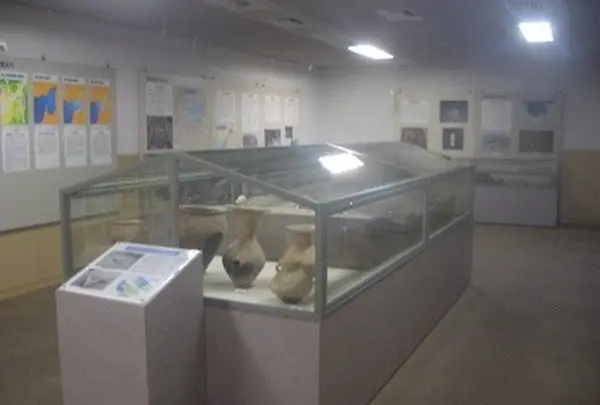 旭区民センターの写真・動画_image_30336