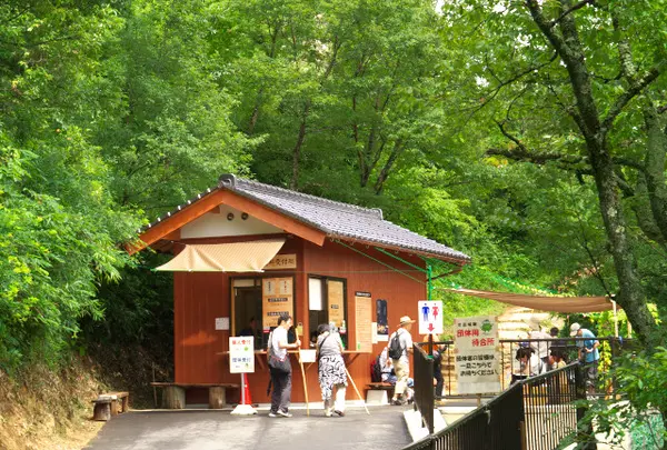 入城料金