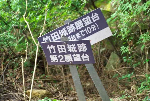 展望台は３つ