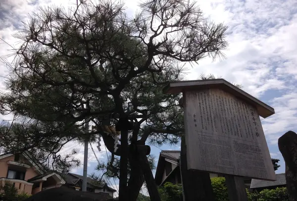 一乗寺下り松